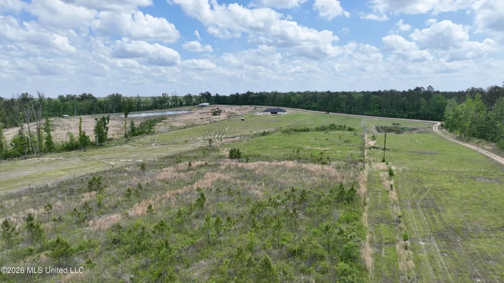 0010 Coal Bluff Road Lena, MS 39094