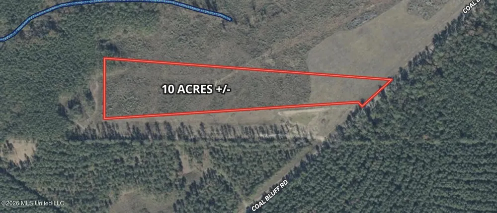 0010 Coal Bluff Road Lena, MS 39094