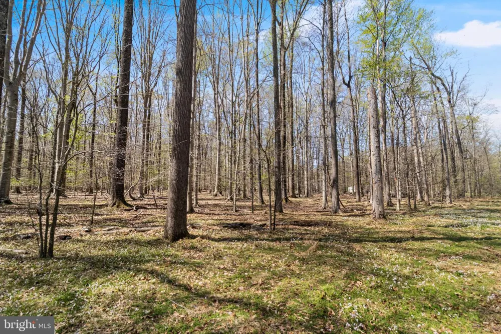 BILLINGSLEY ROAD White Plains, MD 20695