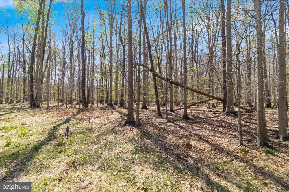 BILLINGSLEY ROAD White Plains, MD 20695