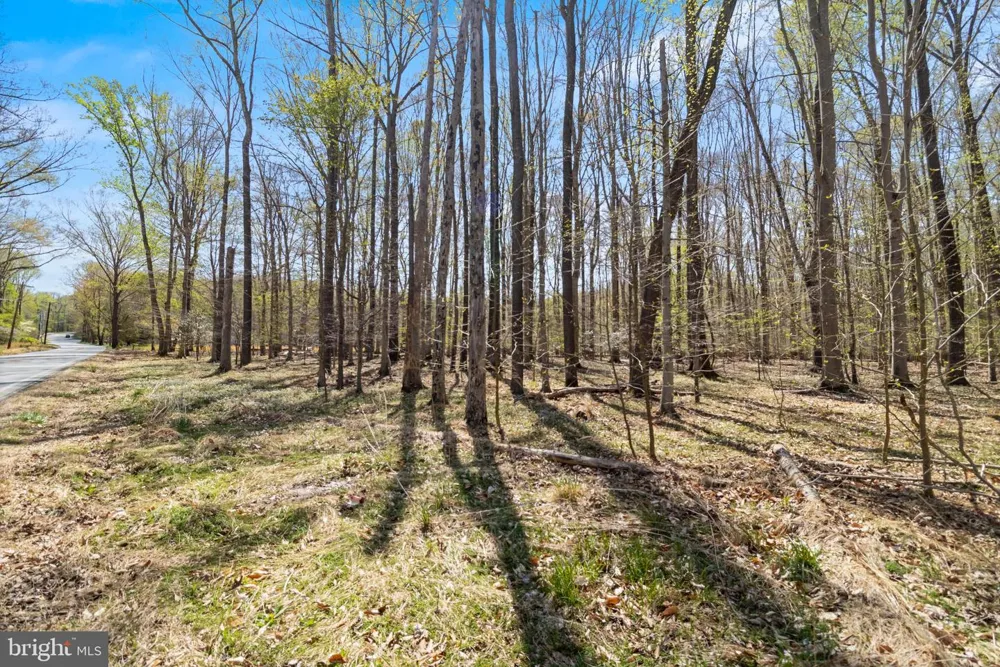 BILLINGSLEY ROAD White Plains, MD 20695