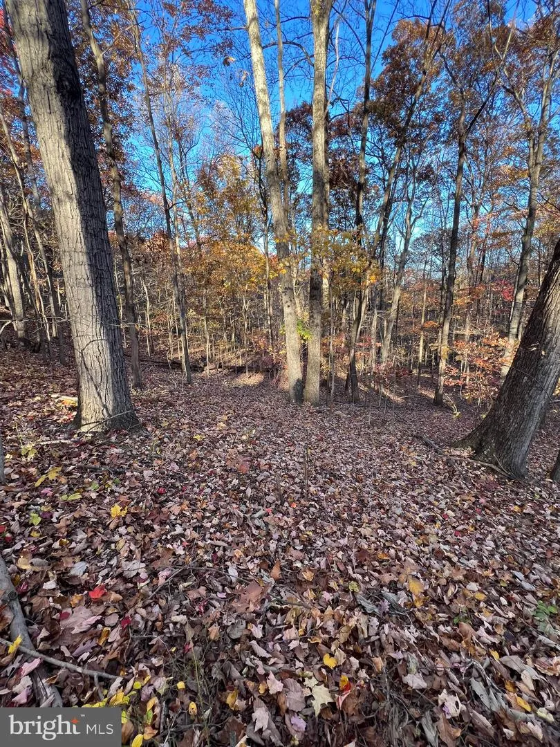 0 TIMBERLINE RIDGE ROAD Front Royal, VA 22630