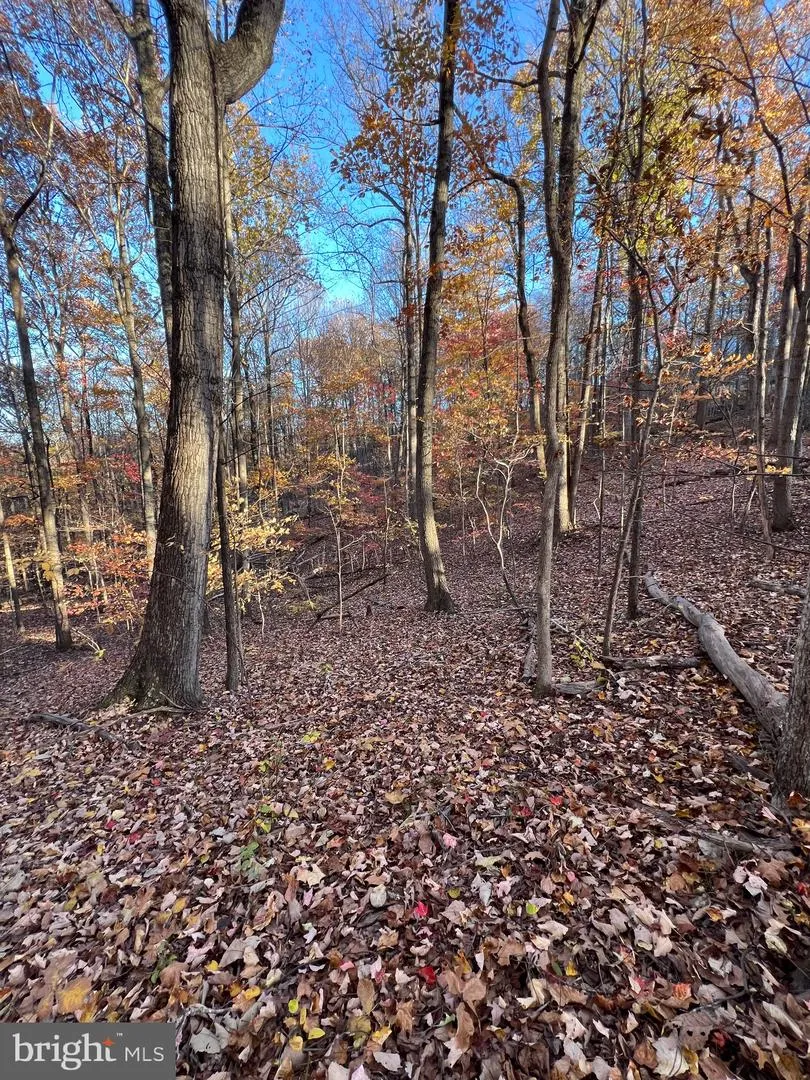 0 TIMBERLINE RIDGE ROAD Front Royal, VA 22630