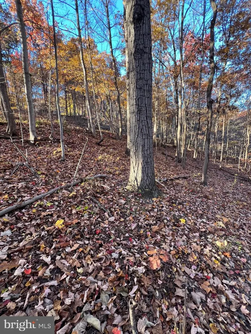 0 TIMBERLINE RIDGE ROAD Front Royal, VA 22630