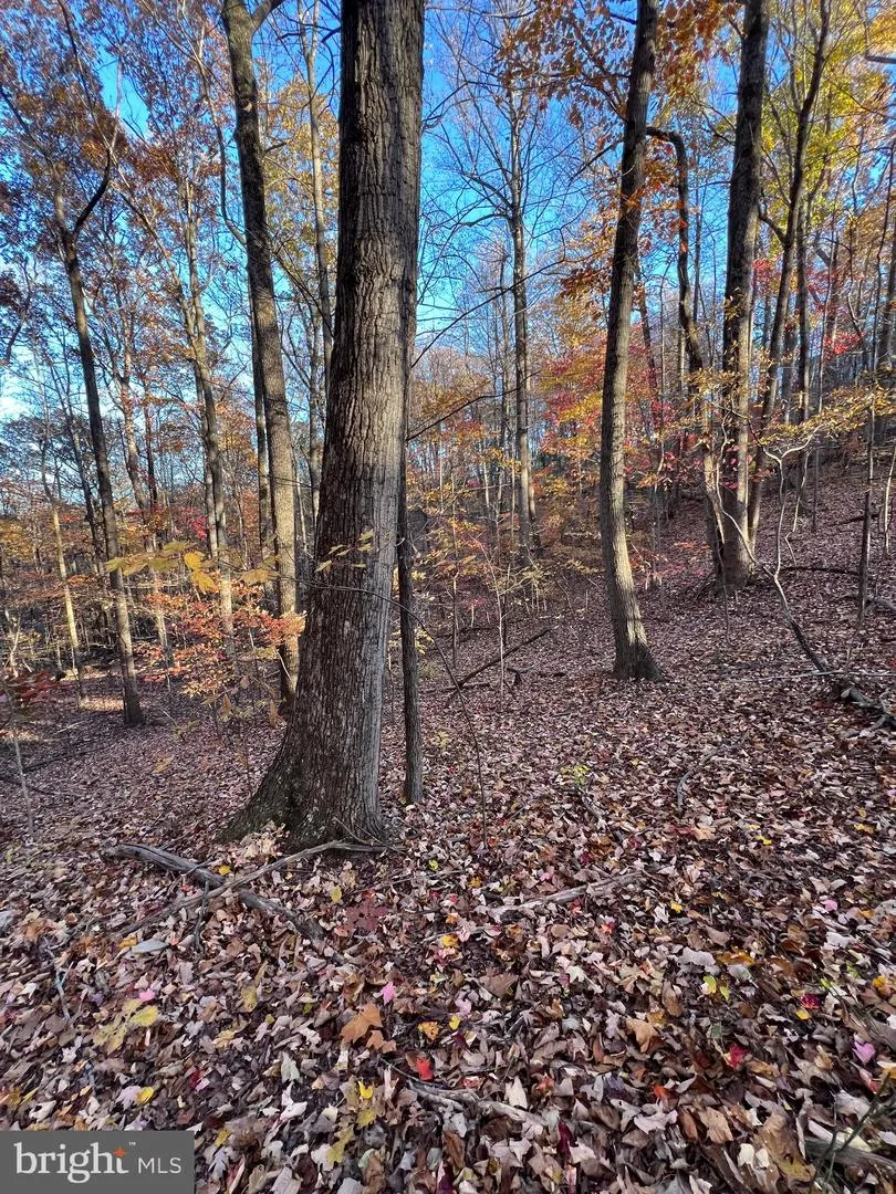 0 TIMBERLINE RIDGE ROAD Front Royal, VA 22630