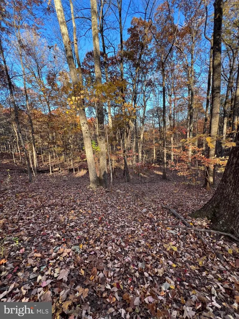 0 TIMBERLINE RIDGE ROAD Front Royal, VA 22630