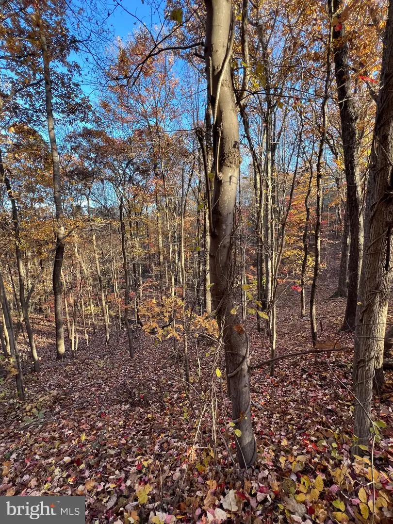 0 TIMBERLINE RIDGE ROAD Front Royal, VA 22630