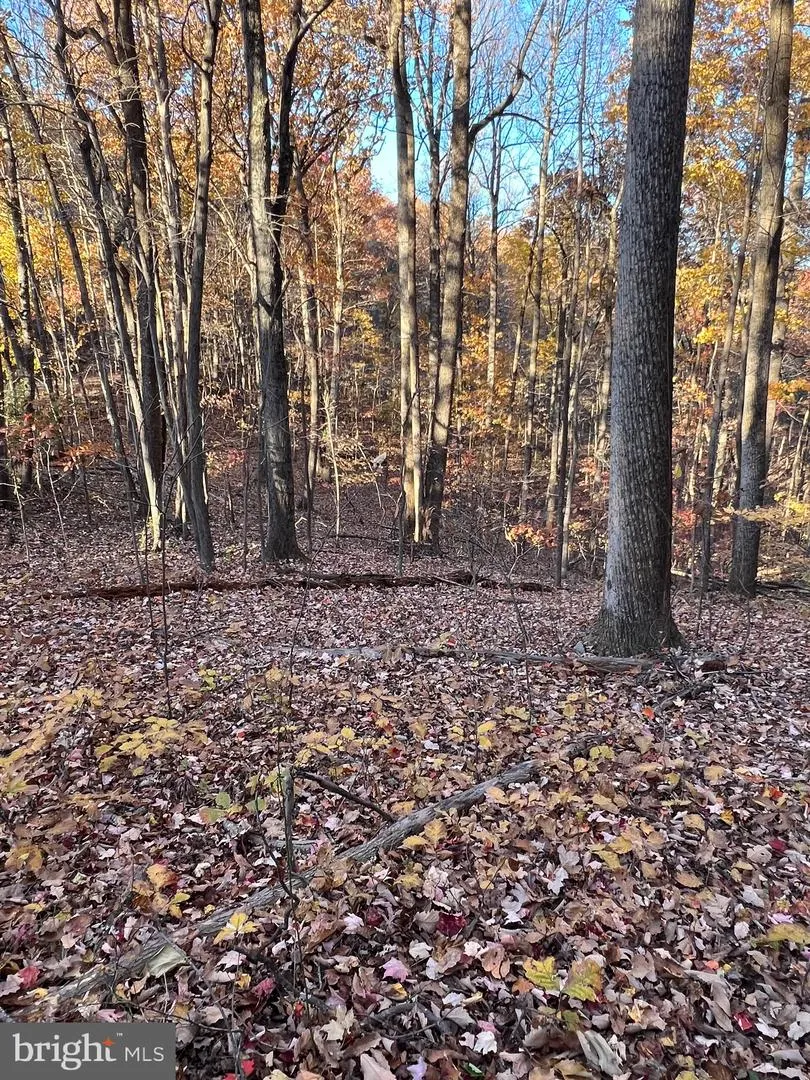 0 TIMBERLINE RIDGE ROAD Front Royal, VA 22630