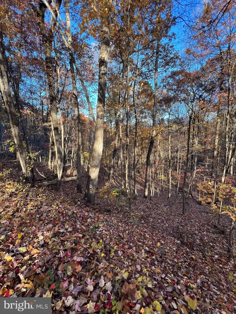 0 TIMBERLINE RIDGE ROAD Front Royal, VA 22630