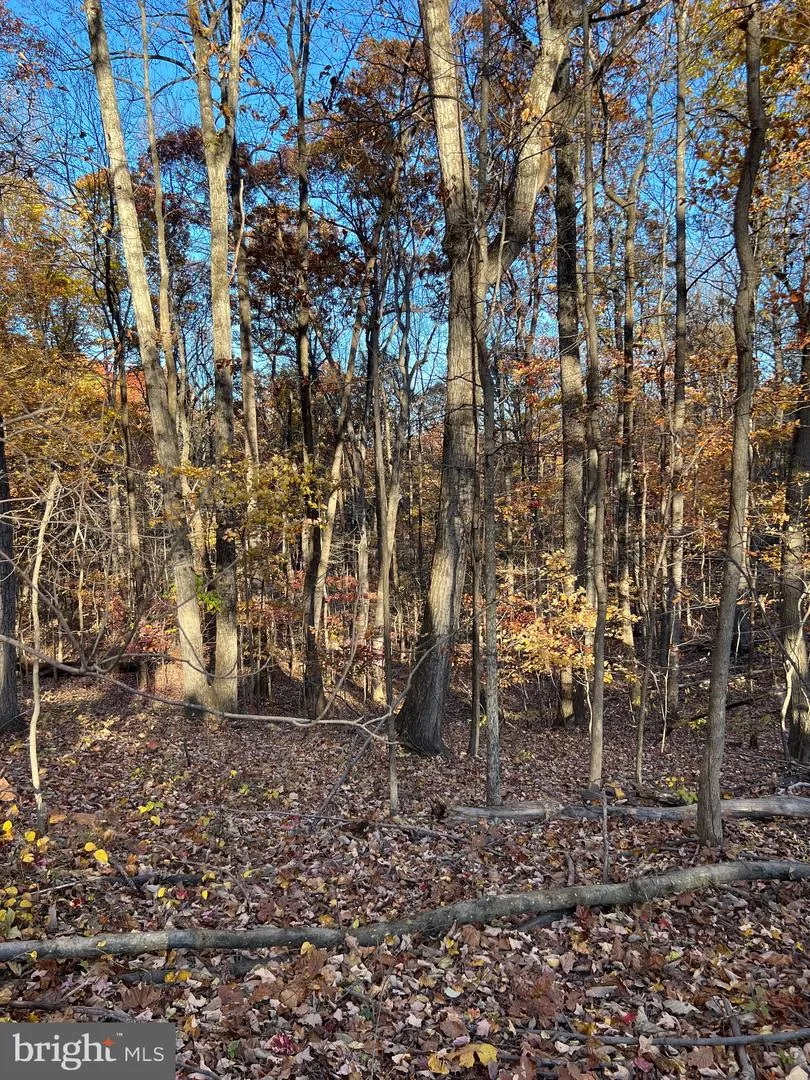 0 TIMBERLINE RIDGE ROAD Front Royal, VA 22630