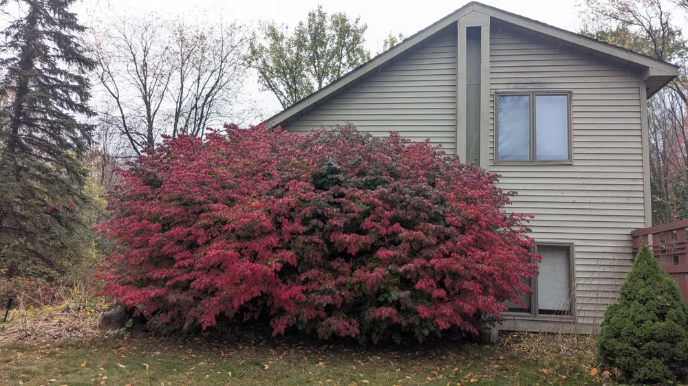 2256 Whitetail Drive Cadillac, MI 49601