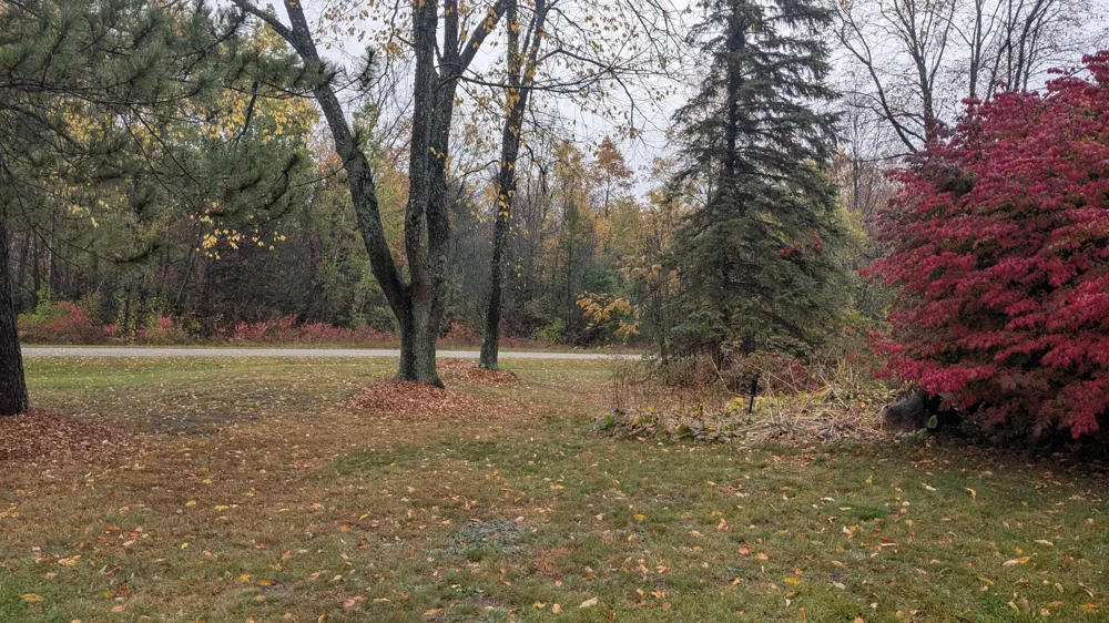 2256 Whitetail Drive Cadillac, MI 49601