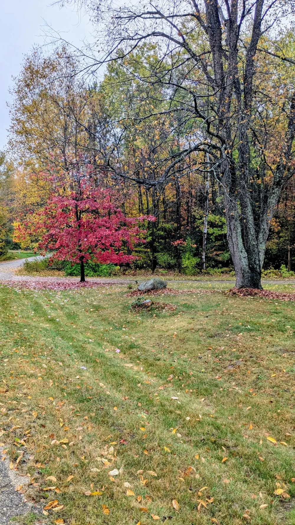 2256 Whitetail Drive Cadillac, MI 49601