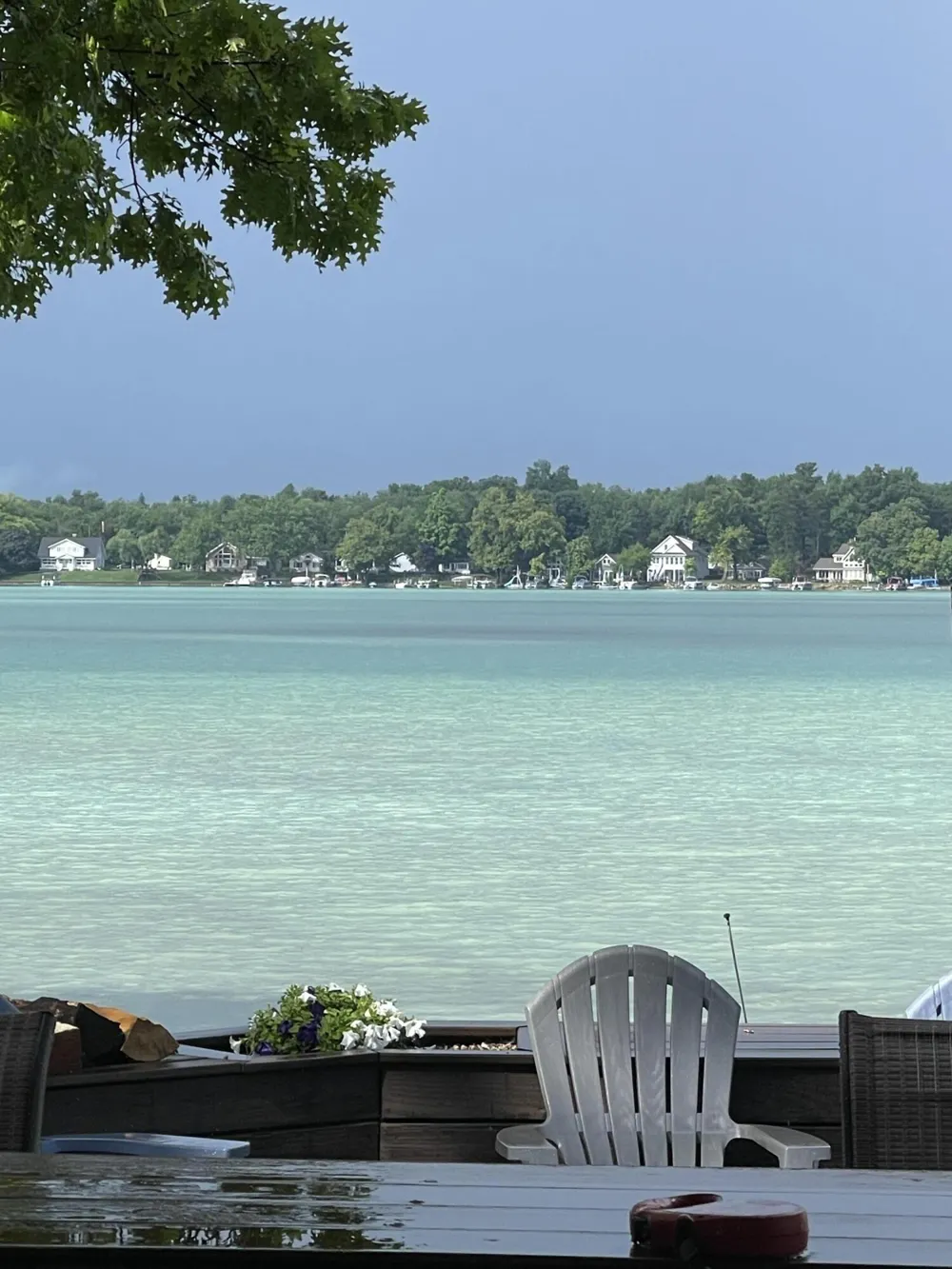 1720 Little Drive Horton, MI 49246