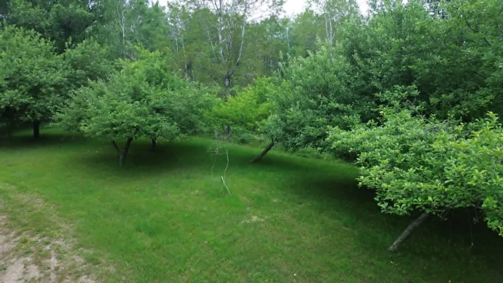 21632 90th Avenue Evart, MI 49631