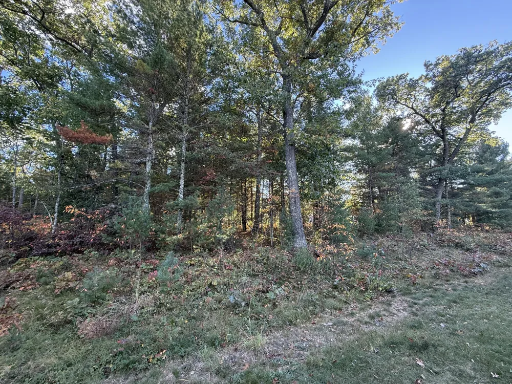 1127 Chicago Drive #19 Whitehall, MI 49461