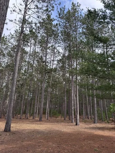 22440 11 Mile Road Reed City, MI 49677