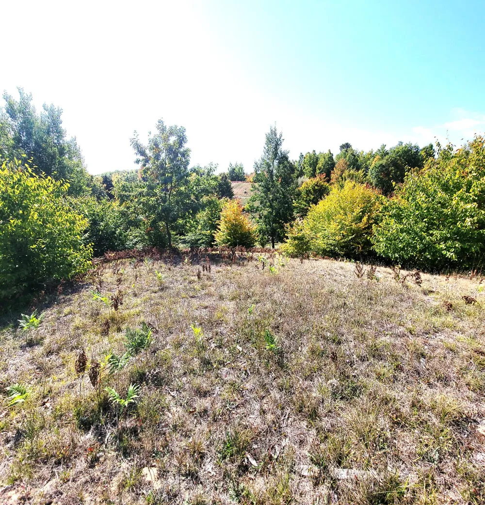 Eagle Ridge Circle #Lot 102 Onekama, MI 49675