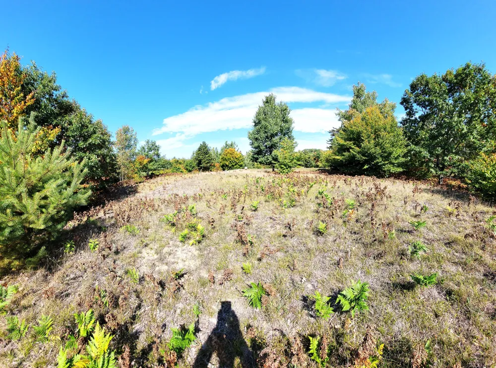 Eagle Ridge Circle #Lot 102 Onekama, MI 49675