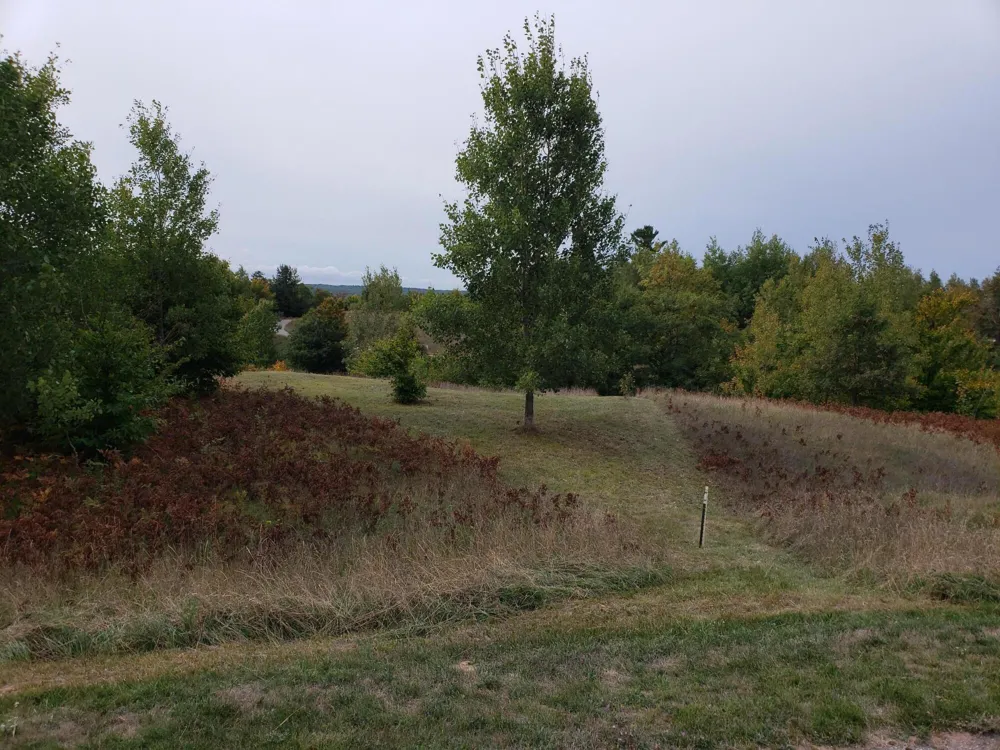 Eagle Ridge Circle #Lot 102 Onekama, MI 49675