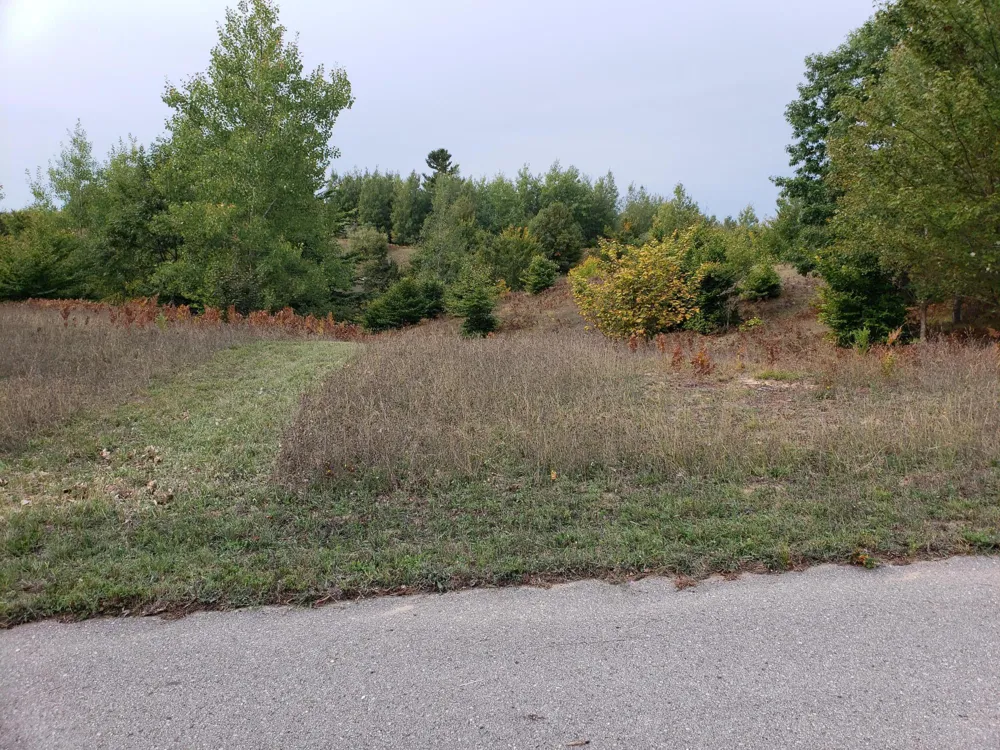 Eagle Ridge Circle #Lot 102 Onekama, MI 49675