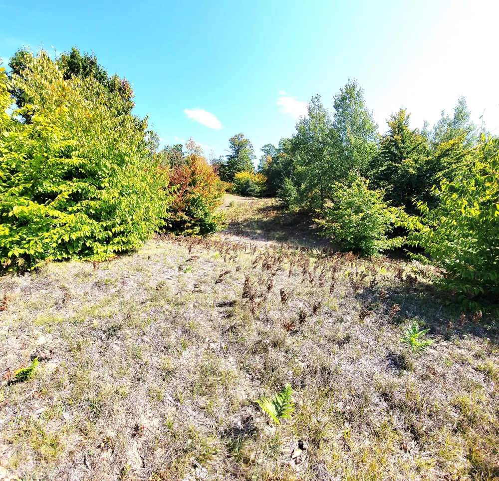 Eagle Ridge Circle #Lot 102 Onekama, MI 49675