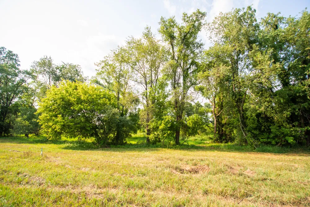 9250 92nd Street SE Alto, MI 49302