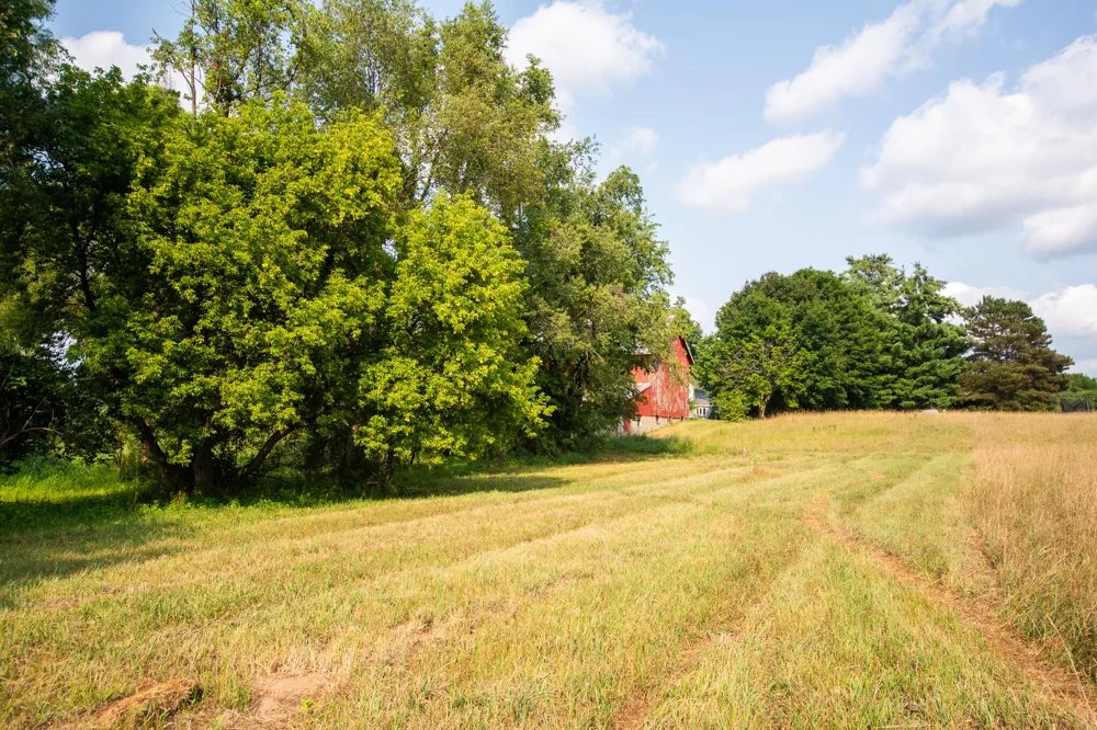 9250 92nd Street SE Alto, MI 49302