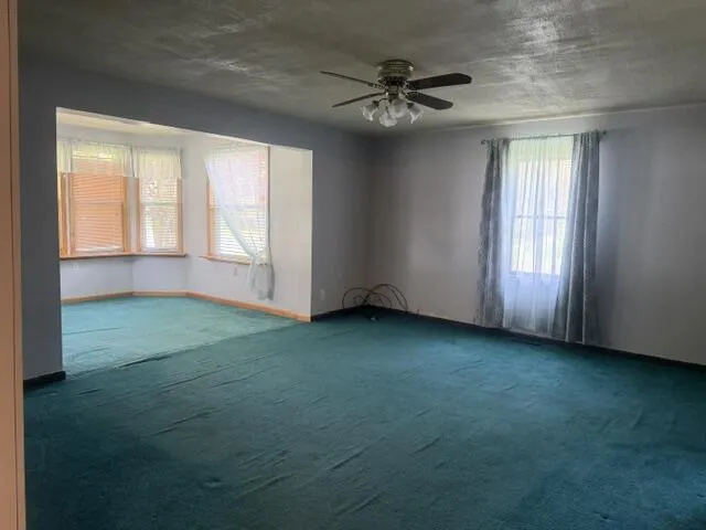 217 John Street Newaygo, MI 49337