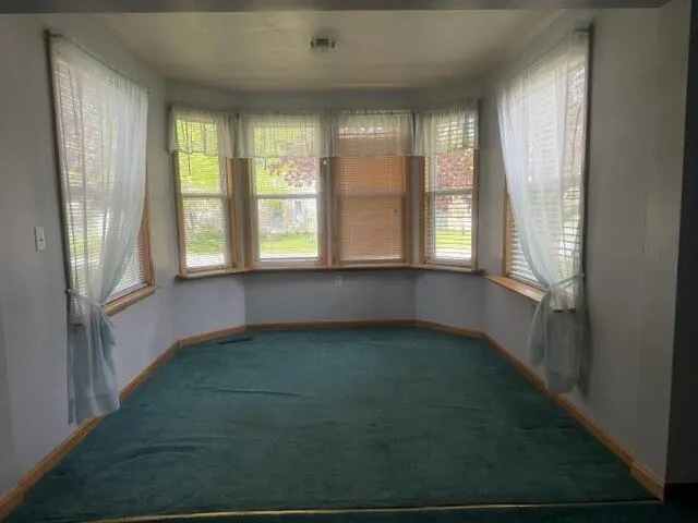 217 John Street Newaygo, MI 49337