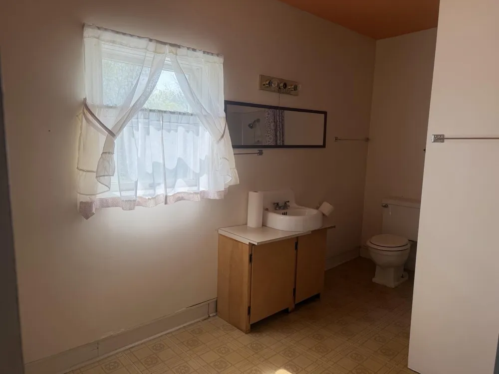 217 John Street Newaygo, MI 49337