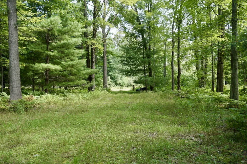 3077 S Tyndall Road Branch, MI 49402