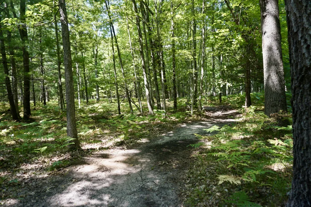 3077 S Tyndall Road Branch, MI 49402