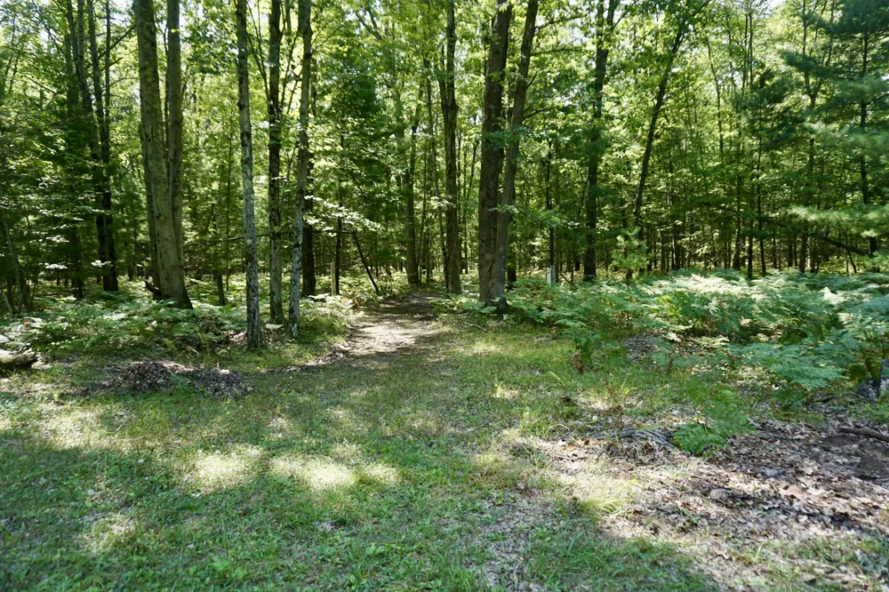 3077 S Tyndall Road Branch, MI 49402
