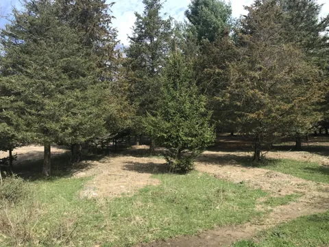 2 Creekwood Drive