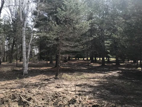 7087 Creekwood Drive