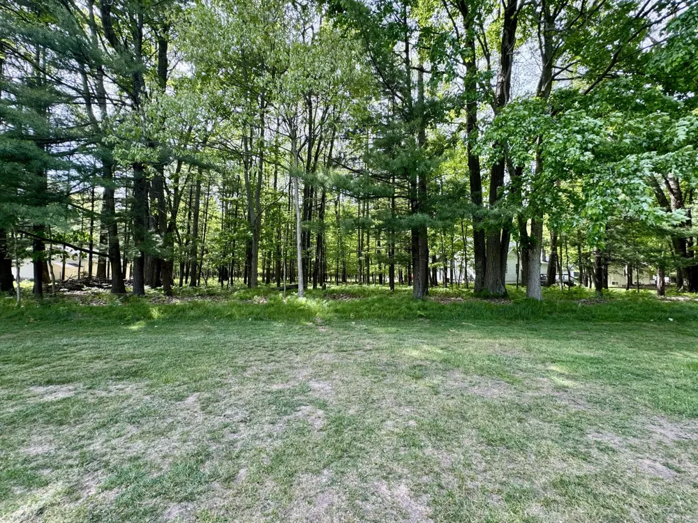 6798 Beechnut Ridge Canadian Lakes, MI 49346