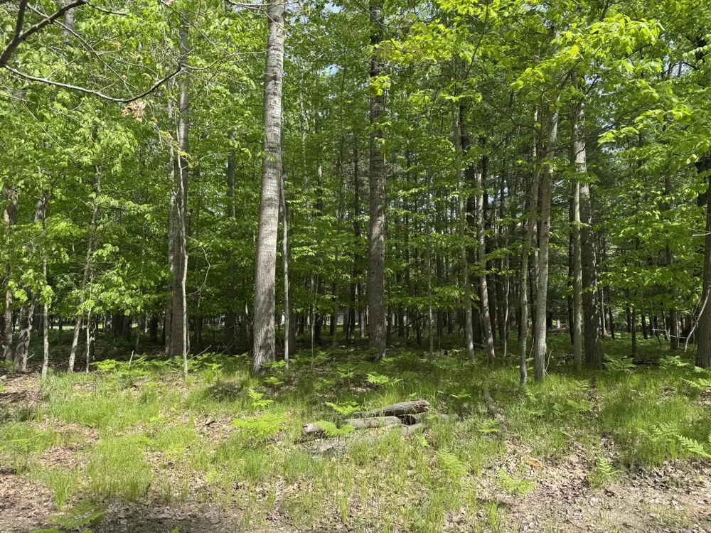 6798 Beechnut Ridge Canadian Lakes, MI 49346