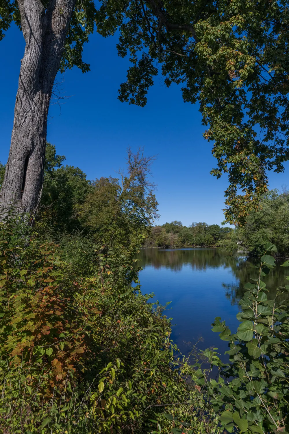 135 Jeremy Street Constantine, MI 49042