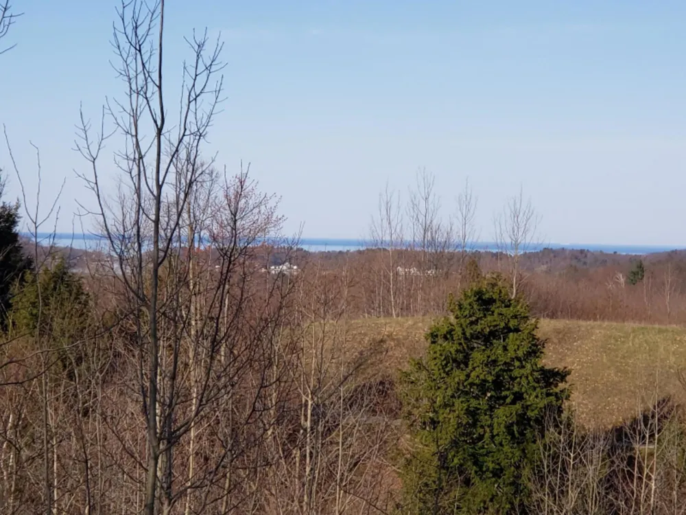 Eagle Ridge Circle #Lot 103 Onekama, MI 49675