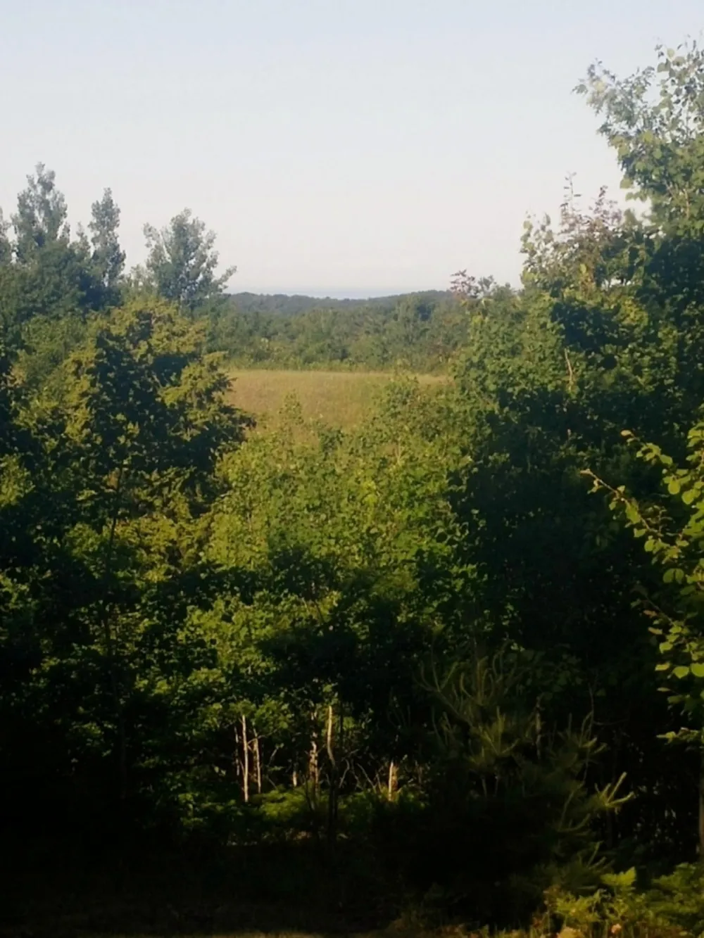 Eagle Ridge Circle #Lot 103 Onekama, MI 49675