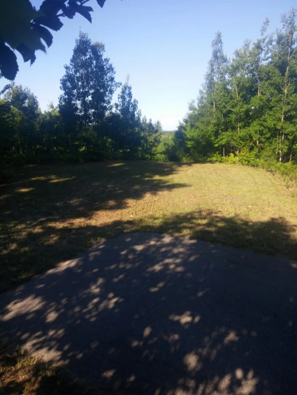 Eagle Ridge Circle #Lot 103 Onekama, MI 49675