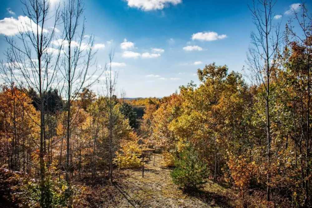 Eagle Ridge Circle #Lot 103 Onekama, MI 49675