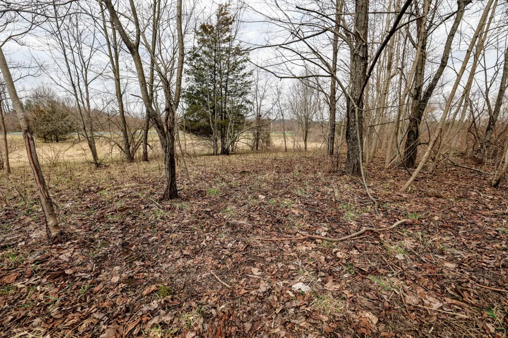 40th Street Bloomingdale, MI 49026