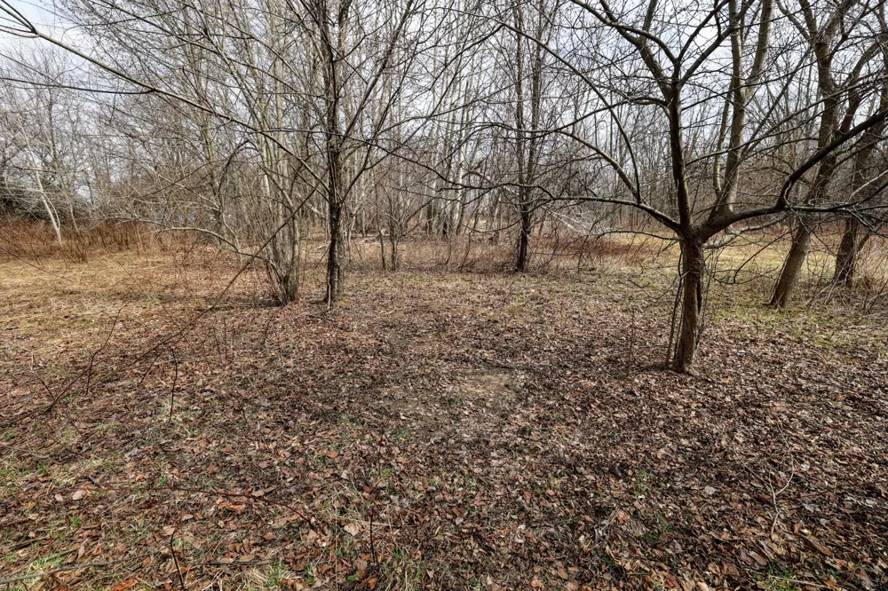 40th Street Bloomingdale, MI 49026