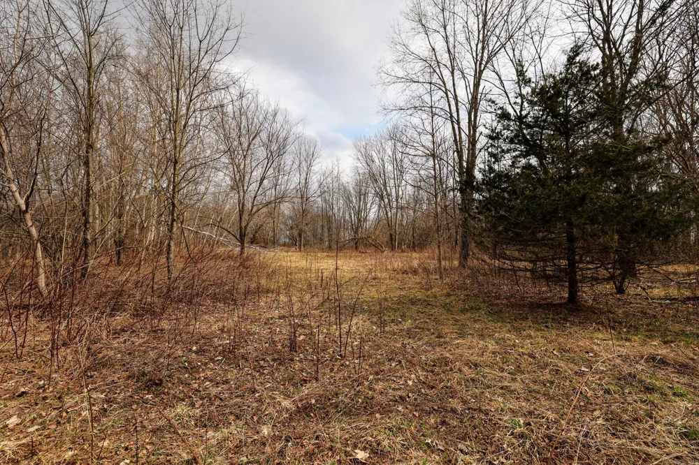 40th Street Bloomingdale, MI 49026