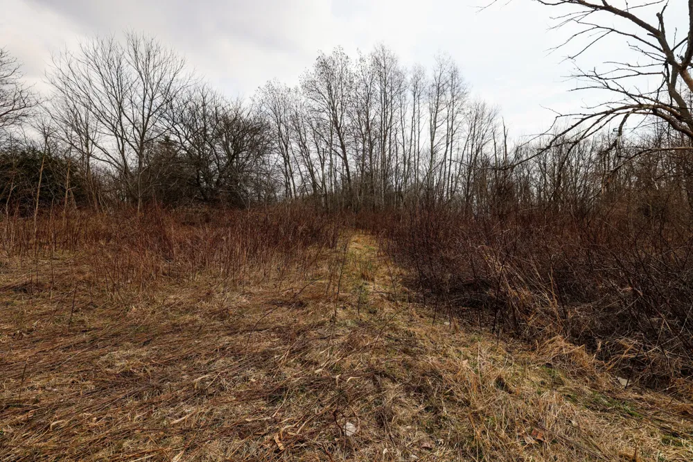 40th Street Bloomingdale, MI 49026