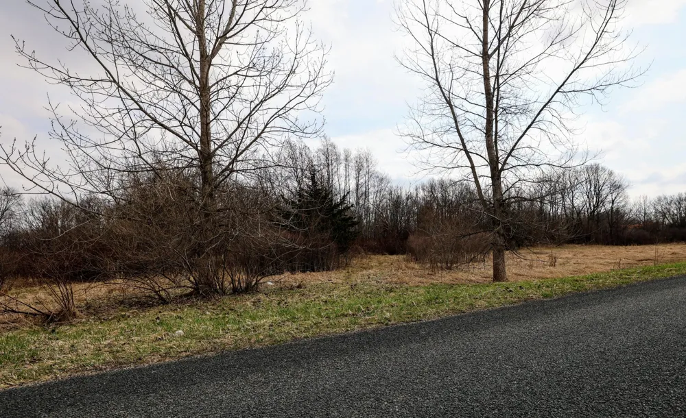 40th Street Bloomingdale, MI 49026