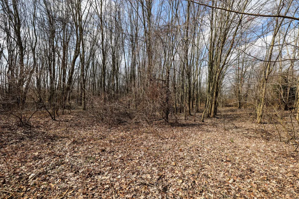 40th Street Bloomingdale, MI 49026