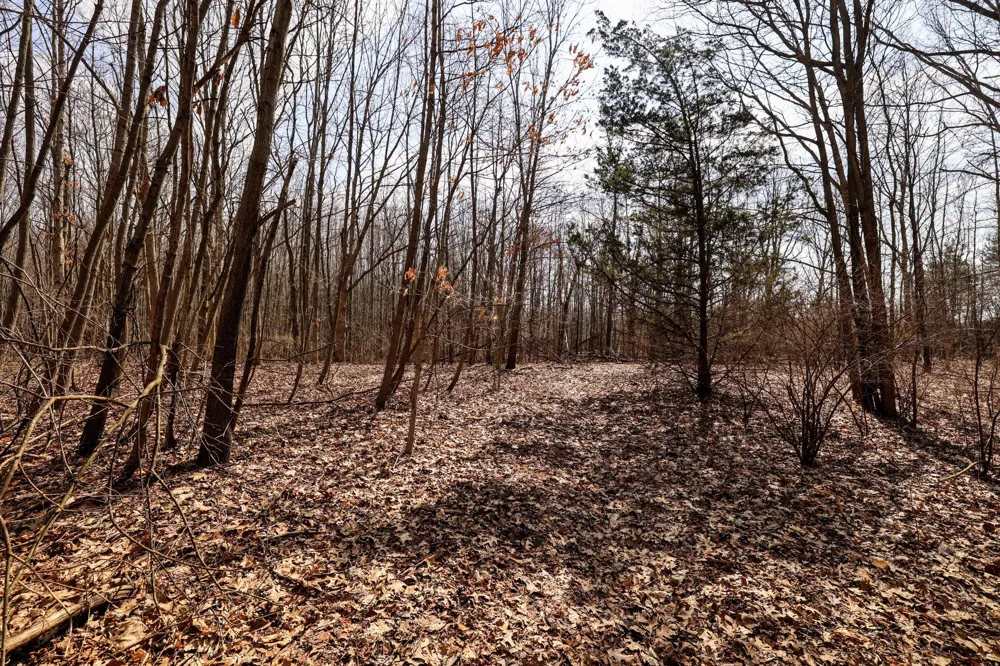 40th Street Bloomingdale, MI 49026